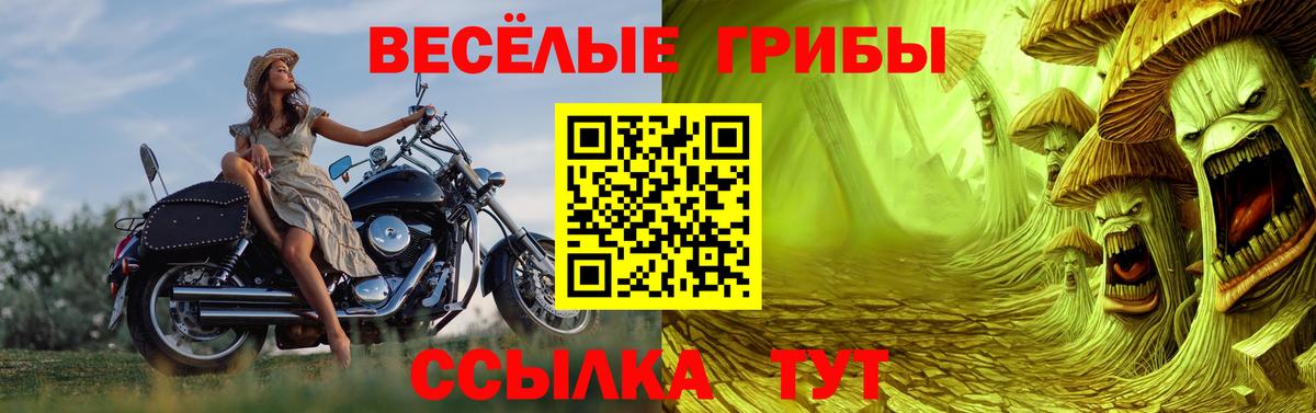 Симферополь  Псилоцибиновые грибы ЛСД  Вход с VPN 